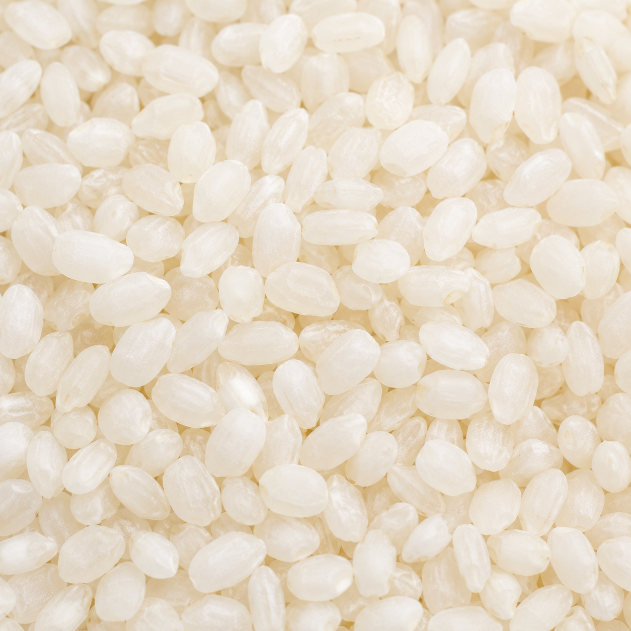 Premium Idli Rice – Buy Top-Rated Short Grain Rice Online